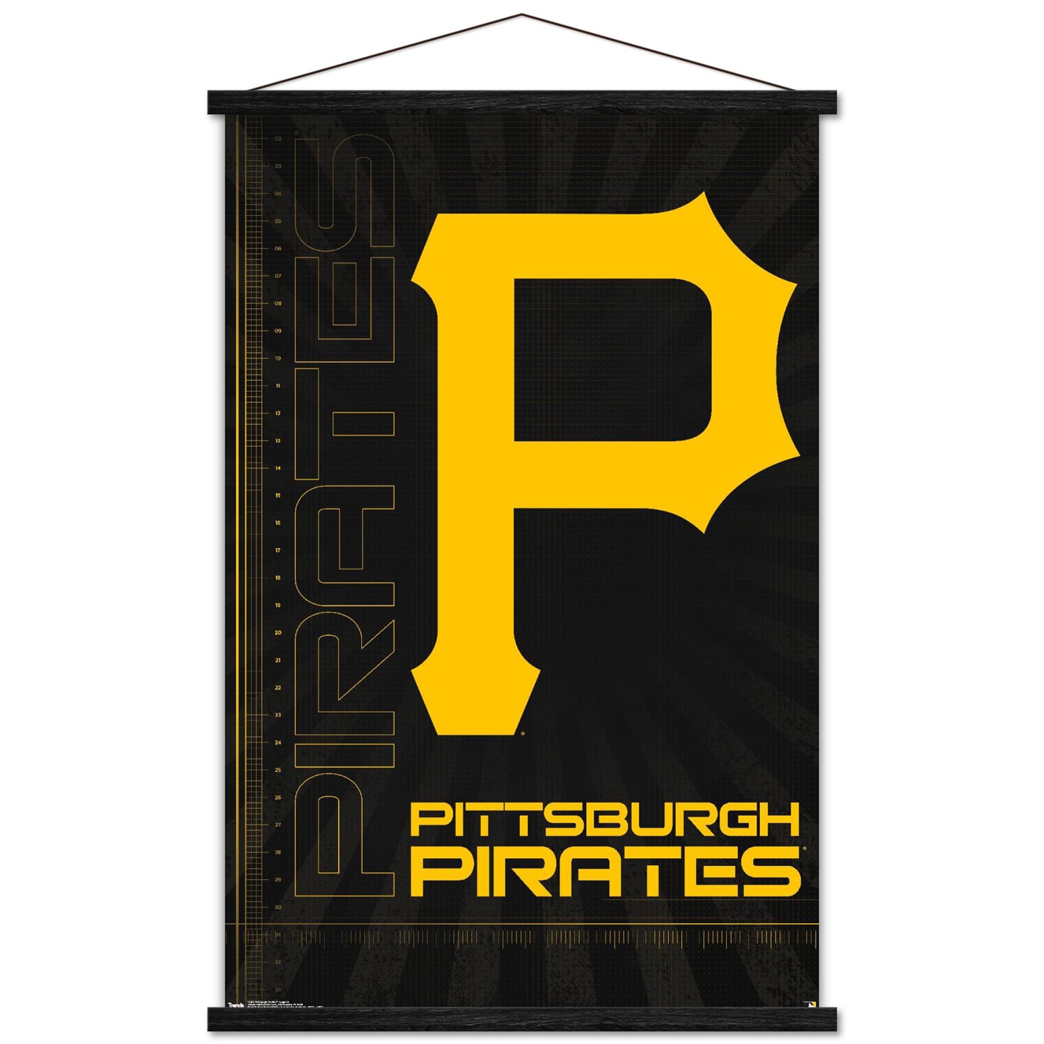 Pittsburgh Pirates 24'' x 34.75'' Magnetic Framed Logo Poster