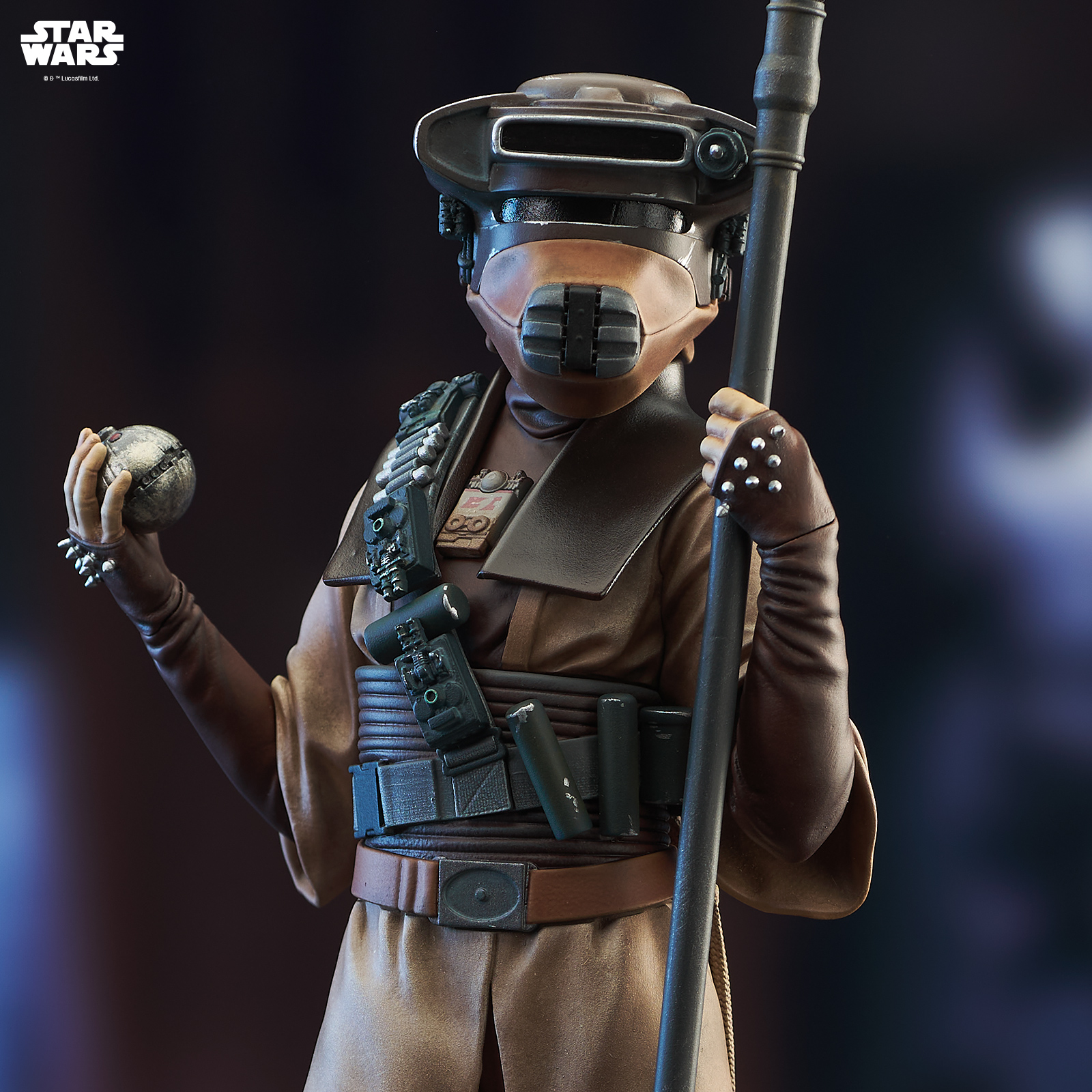 SW_LEIA_BOUSHH